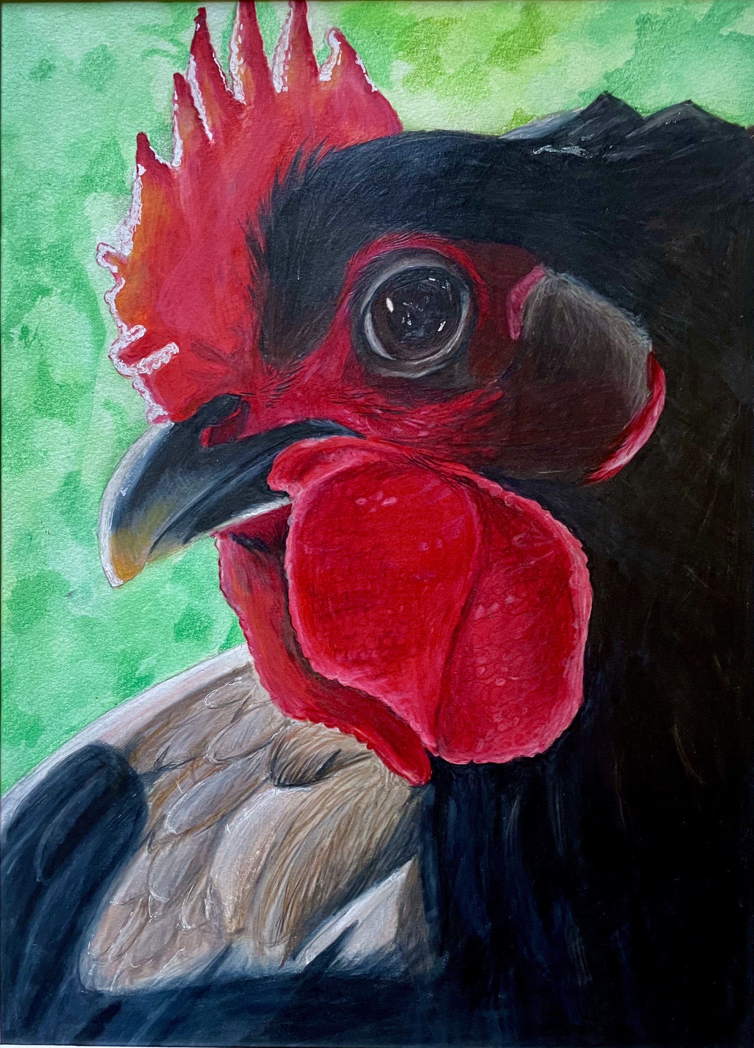 My family has always had chickens, and they are my favorite animal. This is of one of my favorite flock members, a Black Australorp named Black Momma. I submitted this to a livestock art contest.